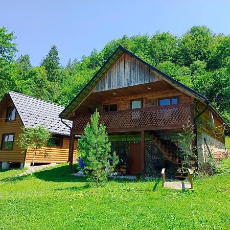 Villa Під Горою à Sheshory Extérieur photo
