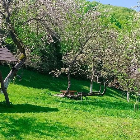 Villa Під Горою à Sheshory Extérieur photo