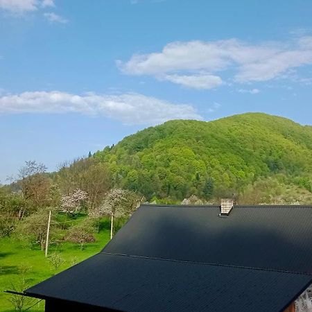 Villa Під Горою à Sheshory Extérieur photo