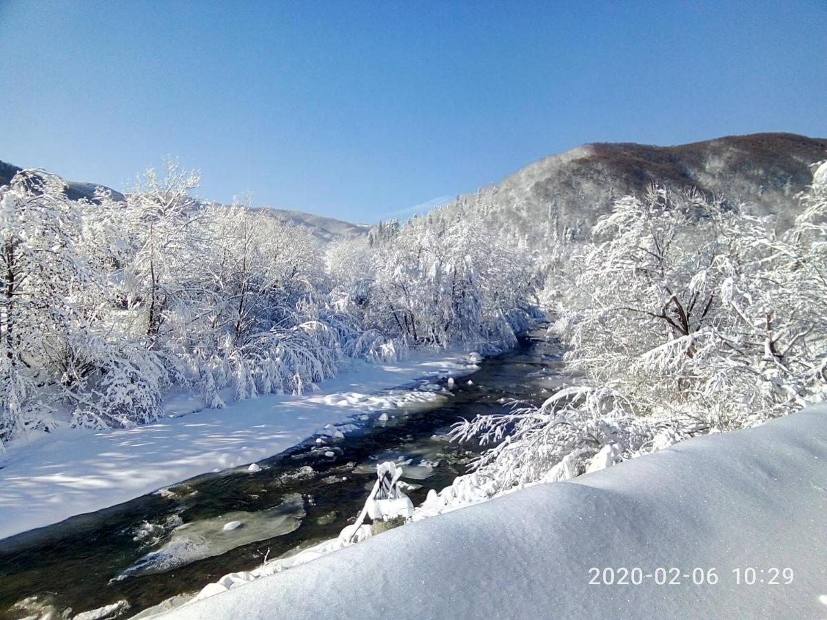 Villa Під Горою à Sheshory Extérieur photo