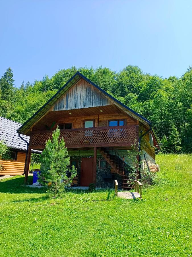 Villa Під Горою à Sheshory Extérieur photo