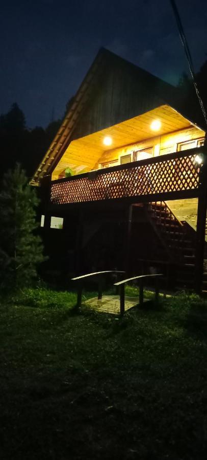Villa Під Горою à Sheshory Extérieur photo