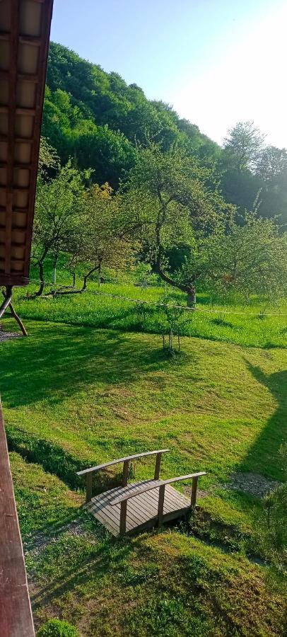 Villa Під Горою à Sheshory Extérieur photo