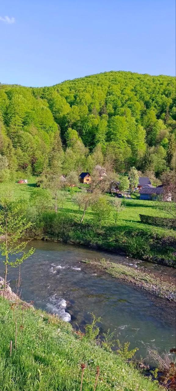 Villa Під Горою à Sheshory Extérieur photo