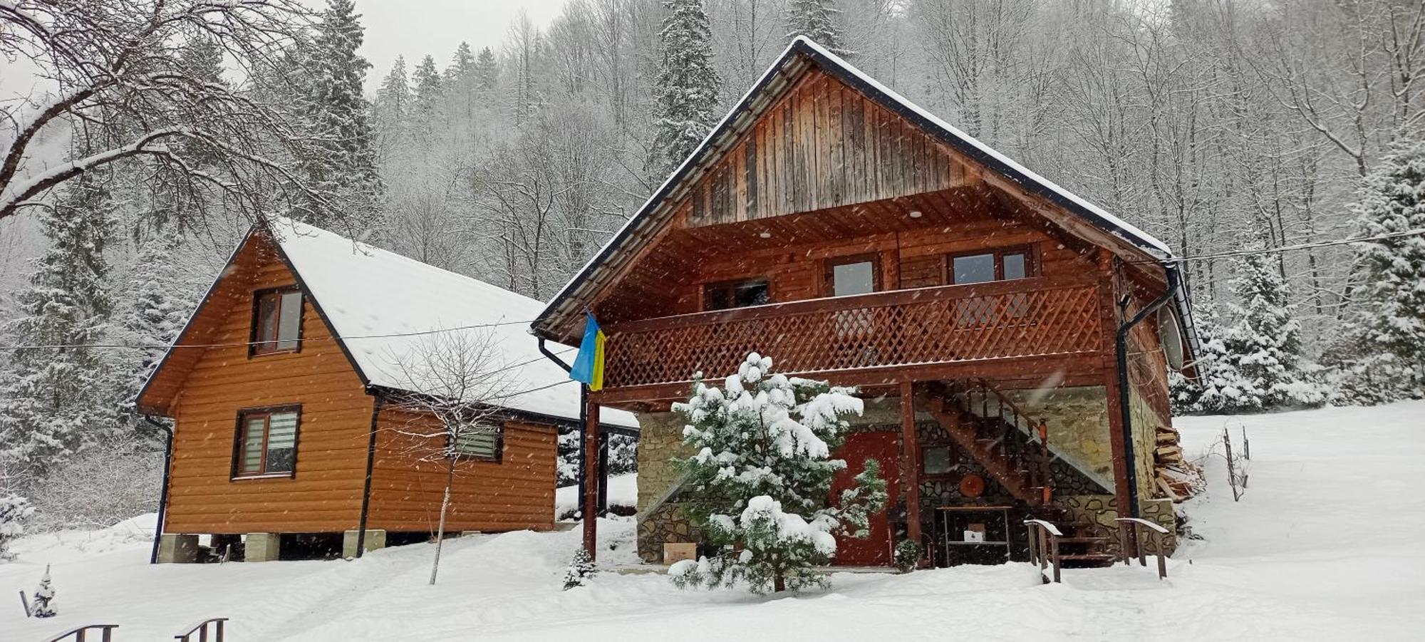 Villa Під Горою à Sheshory Extérieur photo