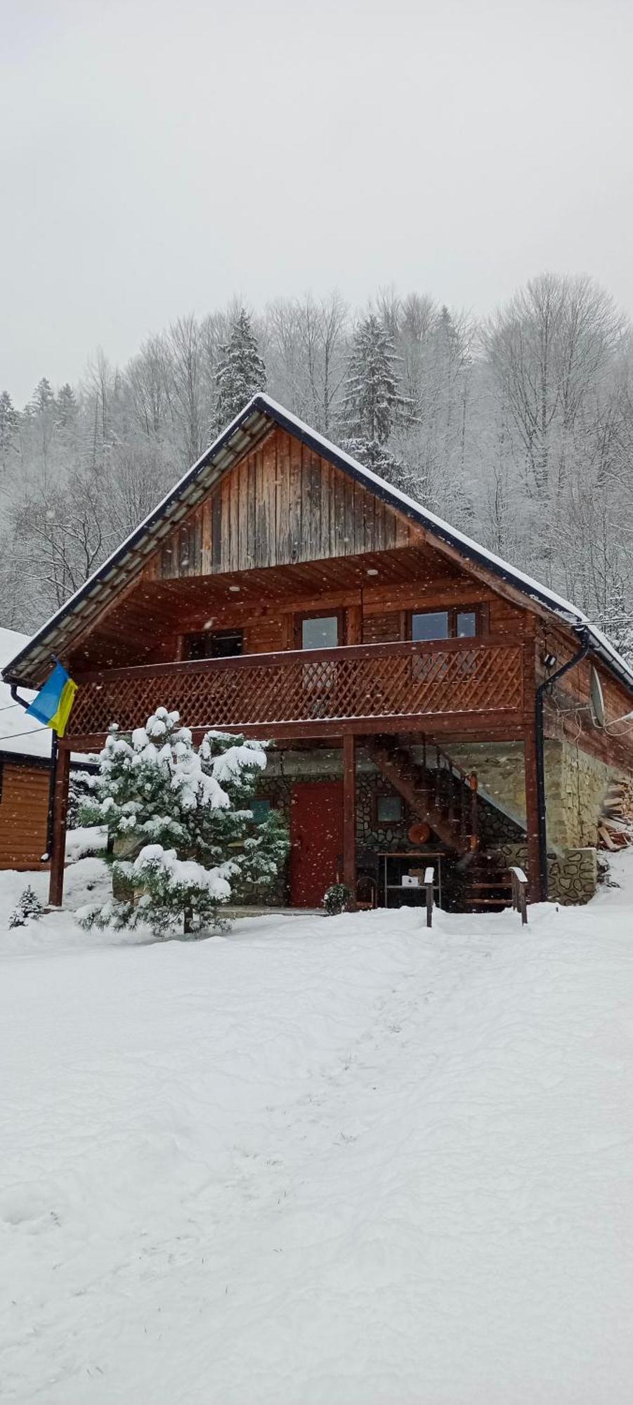 Villa Під Горою à Sheshory Extérieur photo