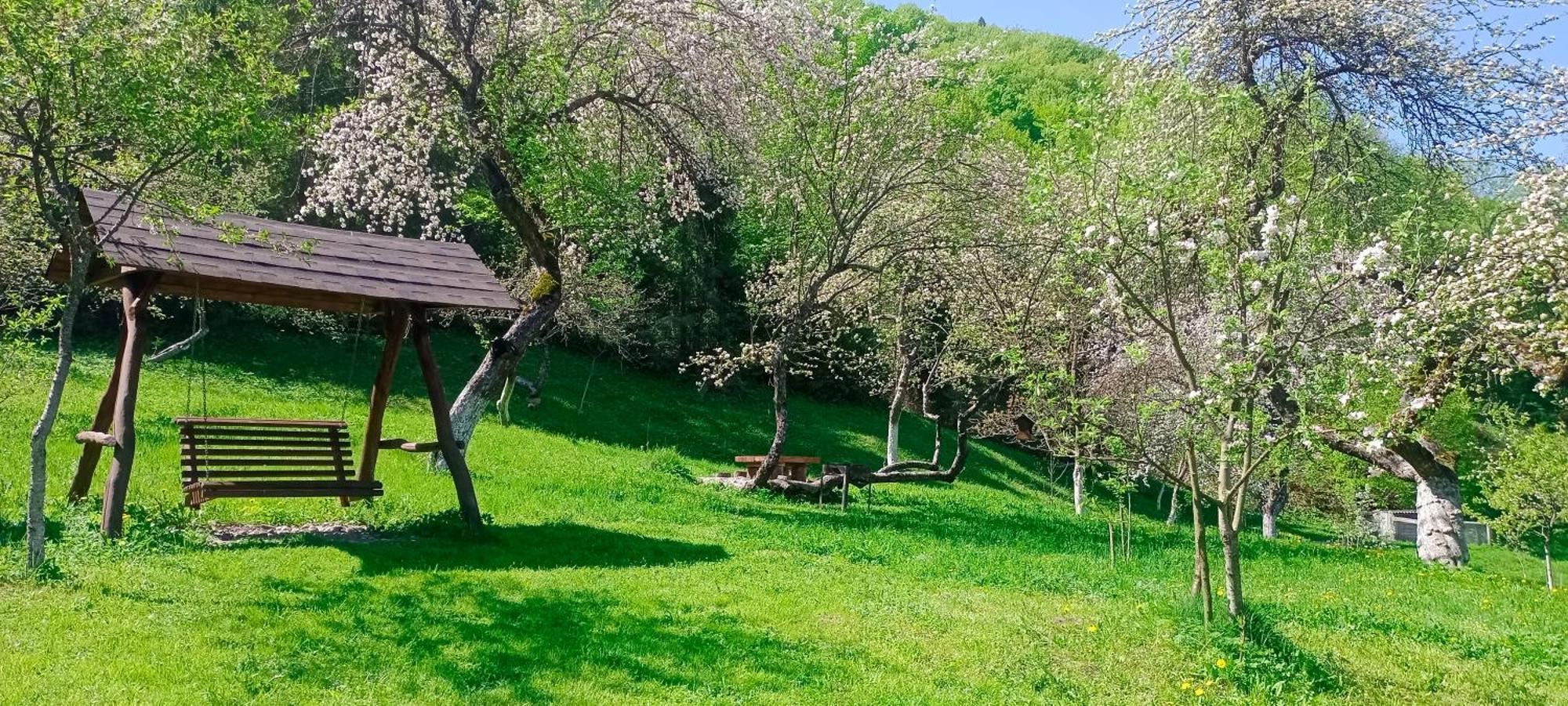 Villa Під Горою à Sheshory Extérieur photo