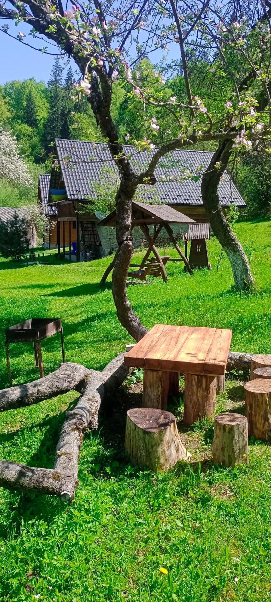 Villa Під Горою à Sheshory Extérieur photo
