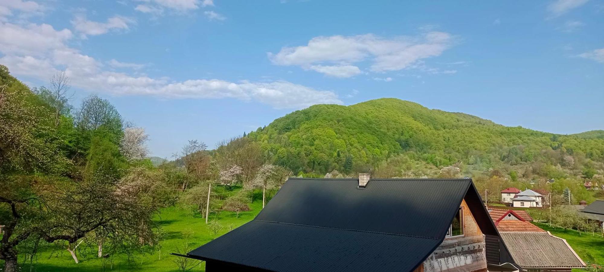 Villa Під Горою à Sheshory Extérieur photo