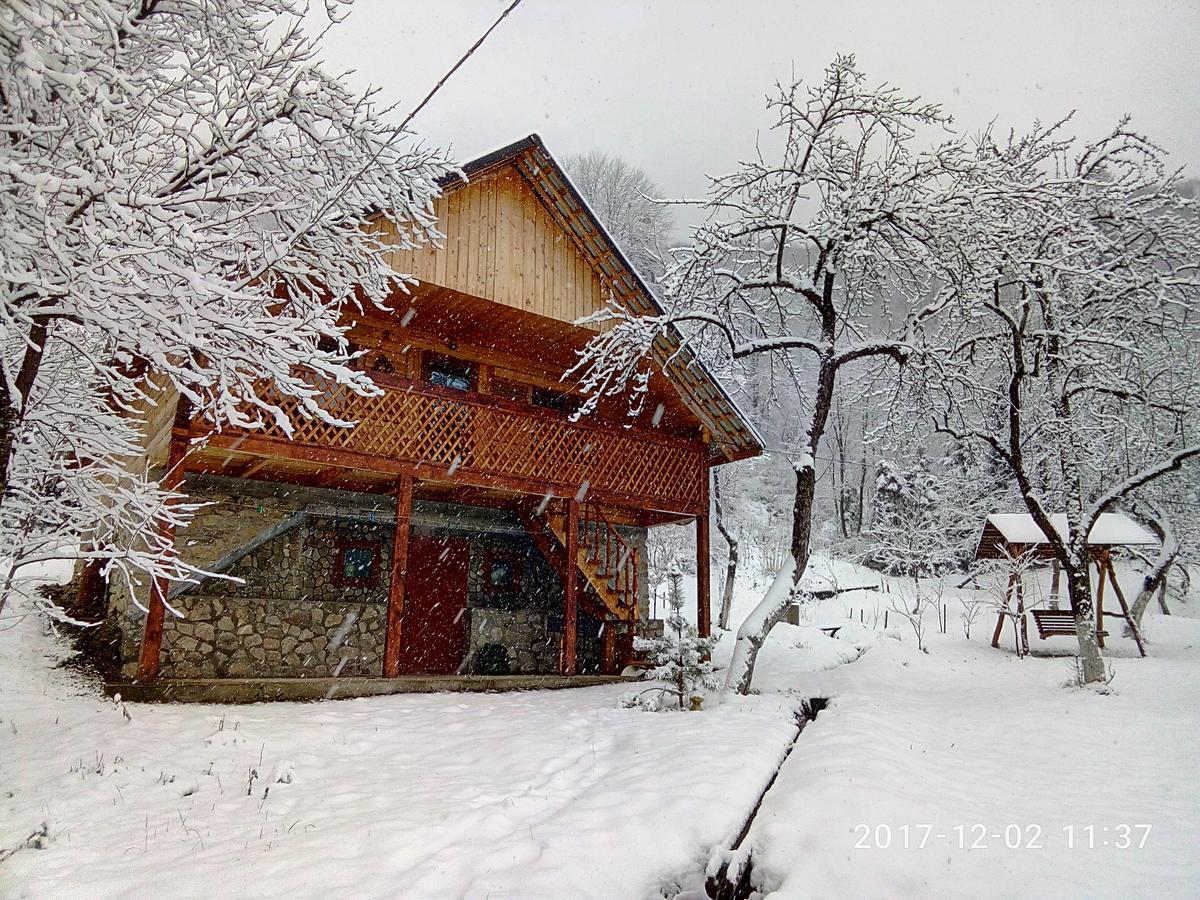 Villa Під Горою à Sheshory Extérieur photo