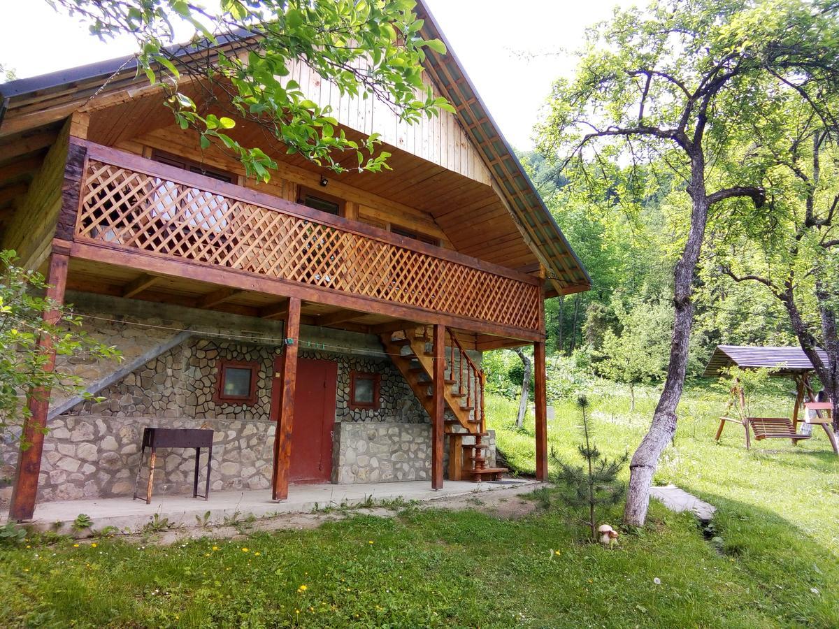 Villa Під Горою à Sheshory Extérieur photo